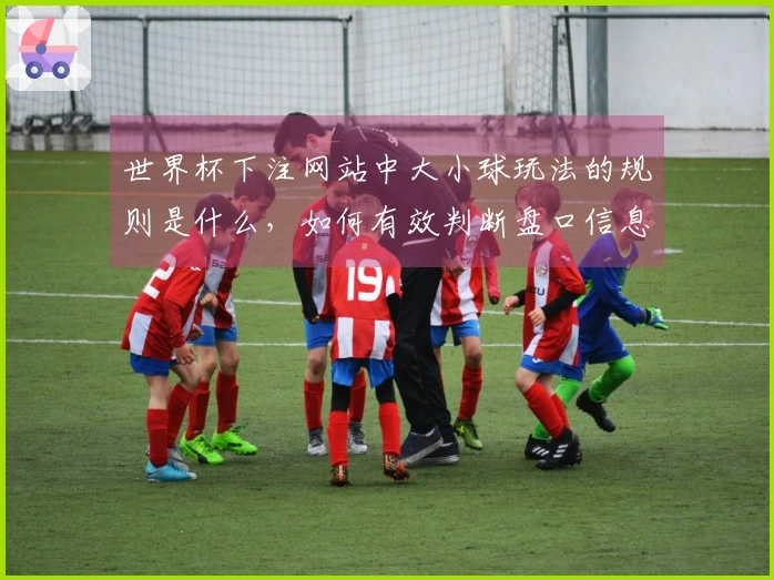 世界杯下注网站中大小球玩法的规则是什么，如何有效判断盘口信息？