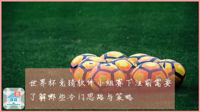 世界杯竞猜软件小组赛下注前需要了解哪些冷门思路与策略
