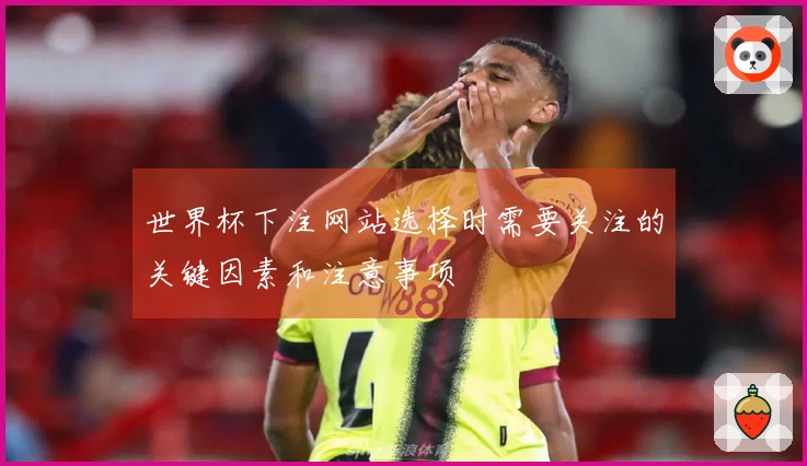 世界杯下注网站选择时需要关注的关键因素和注意事项