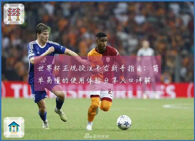 世界杯正规投注平台新手指南：简单易懂的使用体验分享入口详解