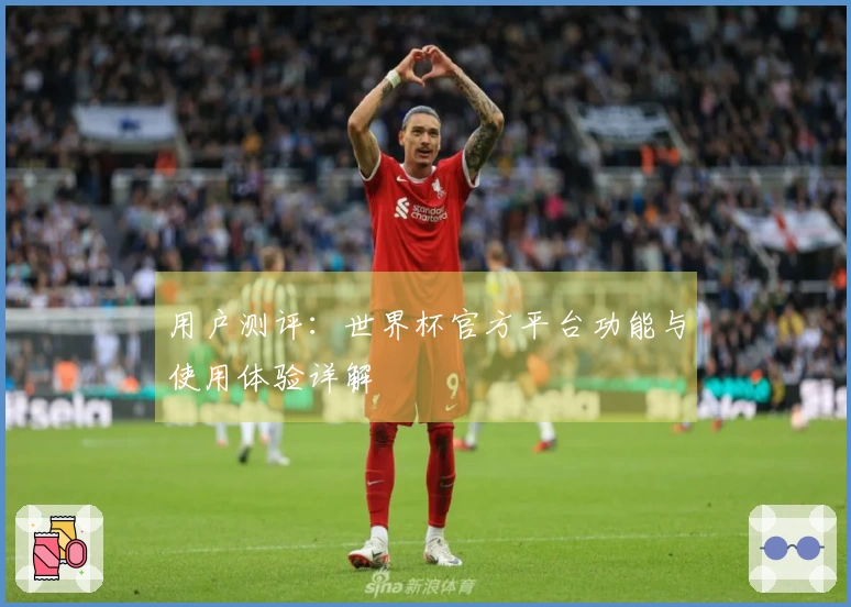 用户测评：世界杯官方平台功能与使用体验详解