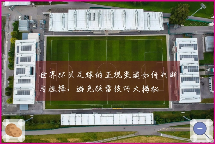 世界杯买足球的正规渠道如何判断与选择，避免踩雷技巧大揭秘