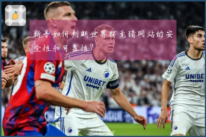 新手如何判断世界杯竞猜网站的安全性和可靠性？