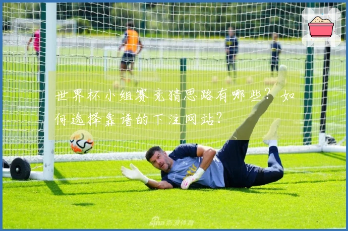 世界杯小组赛竞猜思路有哪些？如何选择靠谱的下注网站？