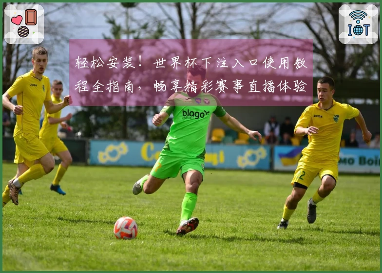 轻松安装!世界杯下注入口使用教程全指南,畅享精彩赛事直播体验