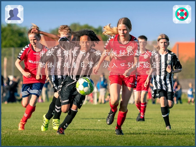 中欧买球官网,我如何轻松融入我的体育观看日常,从入口到体验全掌握