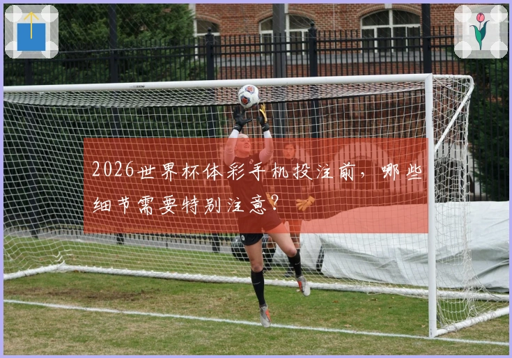 2026世界杯体彩手机投注前，哪些细节需要特别注意？