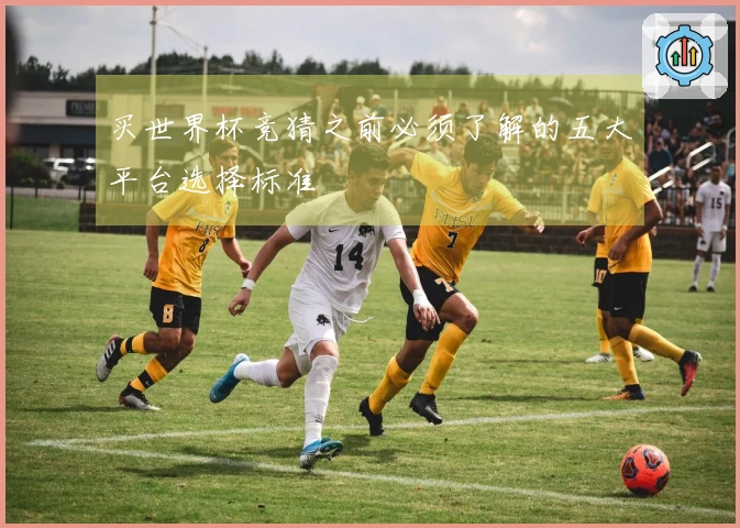 买世界杯竞猜之前必须了解的五大平台选择标准