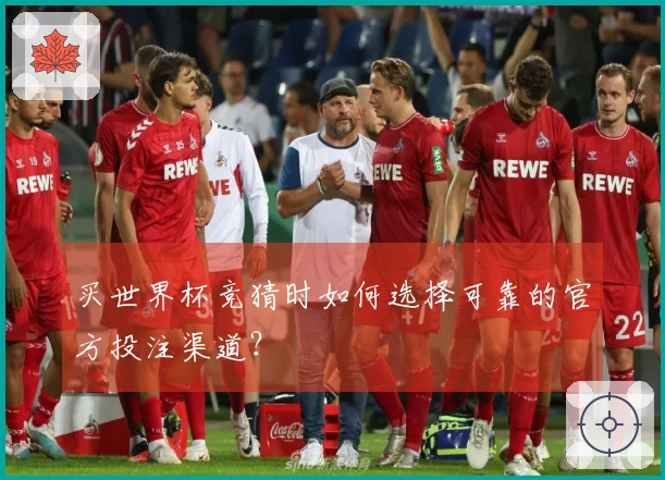 买世界杯竞猜时如何选择可靠的官方投注渠道？