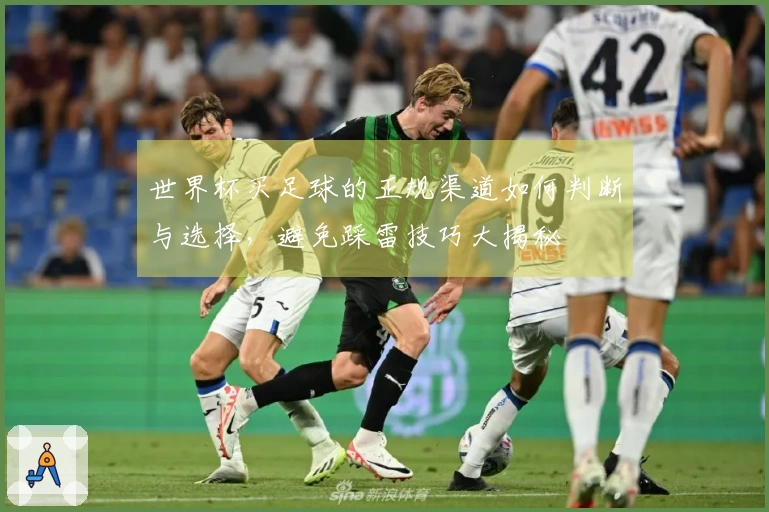世界杯买足球的正规渠道如何判断与选择，避免踩雷技巧大揭秘