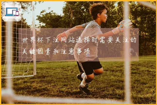 世界杯下注网站选择时需要关注的关键因素和注意事项