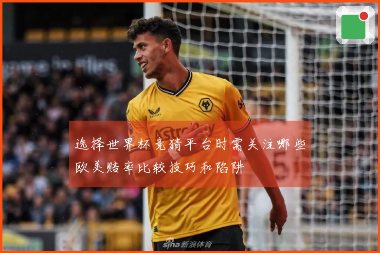 选择世界杯竞猜平台时需关注哪些欧美赔率比较技巧和陷阱