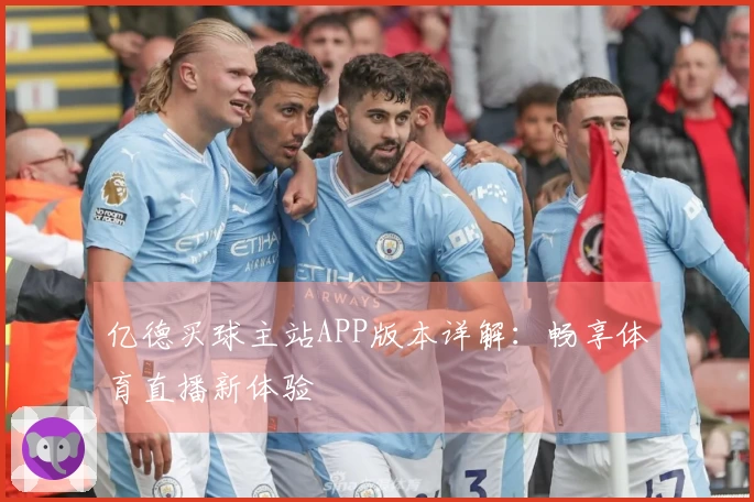 亿德买球主站APP版本详解:畅享体育直播新体验